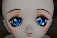 Volks DDH-01