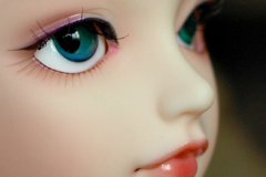 Volks Elena