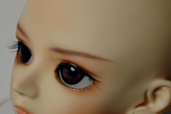 Volks Michael
