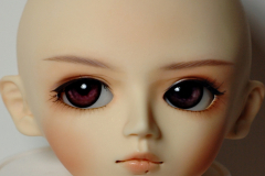 Volks Michael