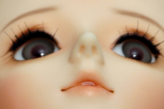 Volks Tachibana Jun