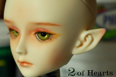 Doll Leaves W