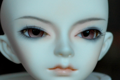Dollzone Mo