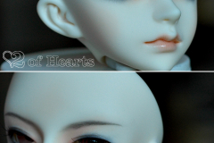 Dollzone Mo
