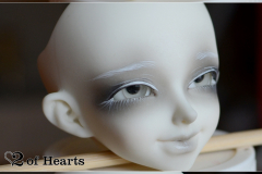 Minifee Juri 2011 WS