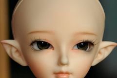 Minifee Juri'08