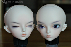 Minifee Rheia