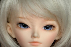 Minifee Shushu SP mod