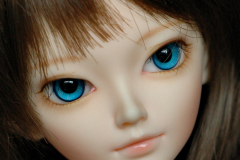 Minifee Shushu