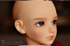 Souldoll The Fool Lev