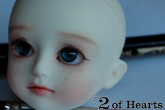 Custom House Bisou Ai Lily