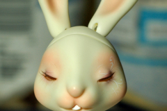 Doll Leaves Bunny