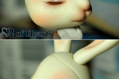 Doll Leaves Bunny