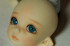 Pukifee Ante Elf