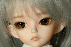 Soom LE50 Glati