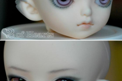Soom MD Skoll