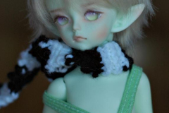 Soom Sov Human