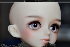 Volks YoSD Jun