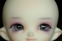 WS Puki Sugar OE