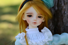 Dolls at Wonderland Meet