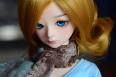 For my Doll 7-8 Hair up! in 144