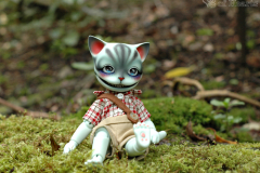 Hobo Cat