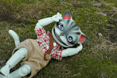 Hobo Cat