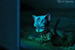 Hobocat on the net