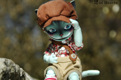 Hobocat's beautiful face