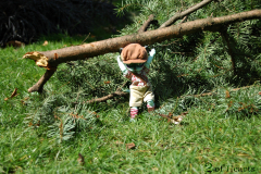 Look how strong I am!