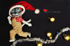 Merry Christmas everypony!