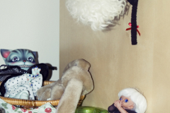 SpiderTillo strikes again!