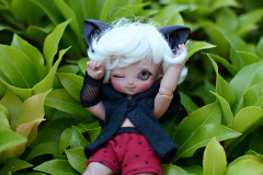 Dolls at Wonderland Meet