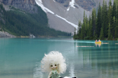 Tillo and Lamina [explore]