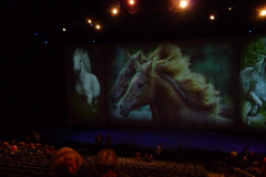 Cavalia in Vancouver