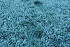 Cold and Frost