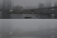 Fog