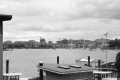 Random Shots