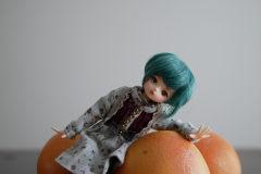 Grapefruit World