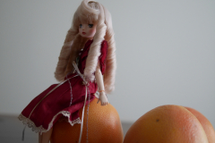 Grapefruit World