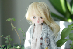 Vanilla Chantilly