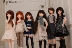A bunch of TFs