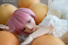 Grapefruit World