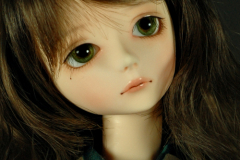 Minerva facial study