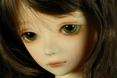 Minerva facial study