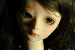 Minerva facial study