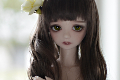 Minerva