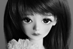 Minerva