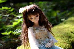 Minerva