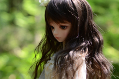 Minerva